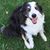 Sallie Cosgrove's profile image