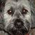 Kathy Wireman's profile image
