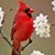 Ann Powers Goetzman's profile image