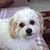 Elsie Duncan Ball's profile image