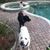 Keli Perry Hays's profile image