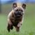 Kim Shaffer's profile image