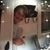 Katie Clover's profile image