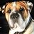 Lani Green's profile image