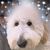 Crissy George's profile image