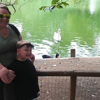 Susie Matthews's profile image