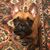Marlis Faber MaGill's profile image