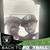 Bobby Withey's profile image