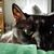 Elizabeth Sewell's profile image