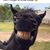 Keri Mcmillen's profile image