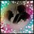 Dina Eiger Hunt's profile image