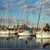 Sandra Breeden Dailey's profile image