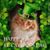Susan Russell's profile image