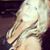 Nicci Thomas's profile image