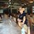 Jose Luis Arevalos's profile image