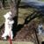 Gail Scott Sikes's profile image