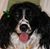 Janet Wise Pugh's profile image