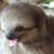 David L Pigman's profile image