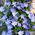 Carolyn Southward's profile image