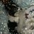Connie Tiller's profile image