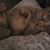 Tracy L Johnson's profile image
