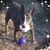 Sheila Ketchum's profile image
