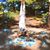 Lorie Duhon-Pollock's profile image