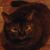 Claudia Masciangioli's profile image