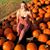Hannah Humphrey's profile image