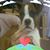 Donna Madren GaGnon's profile image