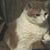 Billie Johns's profile image