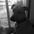 Tim Duggan's profile image