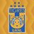 Diego Kun Torres's profile image