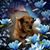 Jennifer M. Gray's profile image