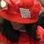 Tamara Williams Dobson's profile image
