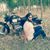 VikramJeet Singh's profile image