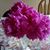 Angie Kurup's profile image