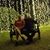 Todd BoZo Luna's profile image