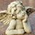 Cyndy Robidoux's profile image