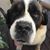 Christopher Williams's profile image