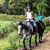 Sarah J. Lavoie's profile image