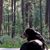 Rhonda Carlson's profile image
