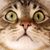 Scott R. Baillie's profile image