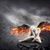 Sandra Wiseman's profile image