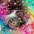 Bobbi Jimmie Stryjk's profile image