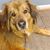 Kadee Puffenbarger's profile image