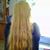 Carol Anne Summerlin's profile image