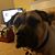 Juna Dawson Robinson's profile image