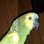 Sherryl Hulsey Carter's profile image