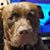 Jessica Politewicz's profile image